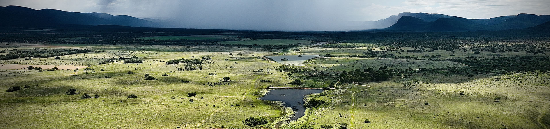 Slide #1 copy Slide background