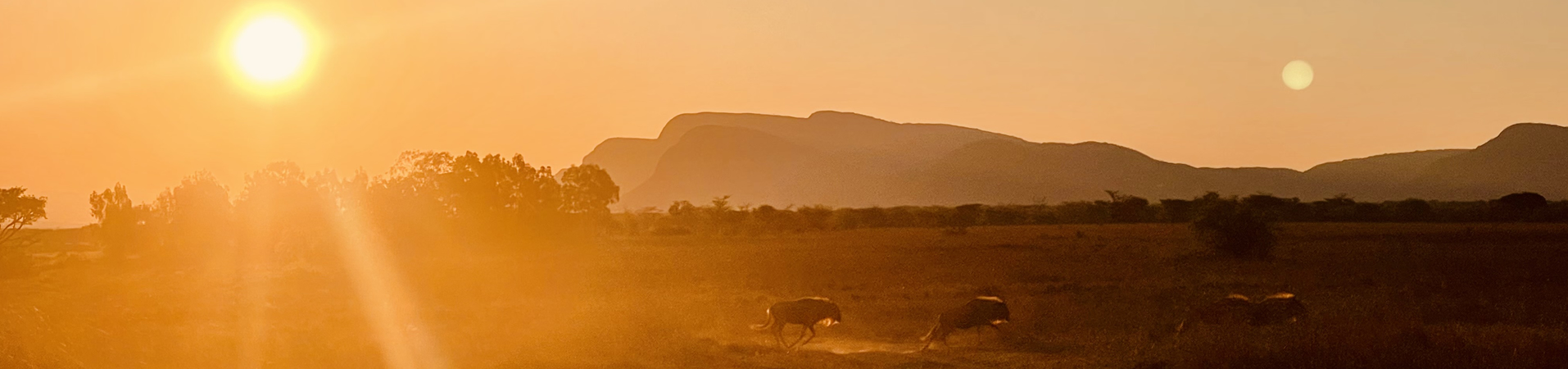 Slide #1 copy Slide background